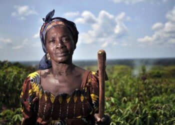 Vía Campesina: Las luchas de las mujeres por el feminismo campesino y popular