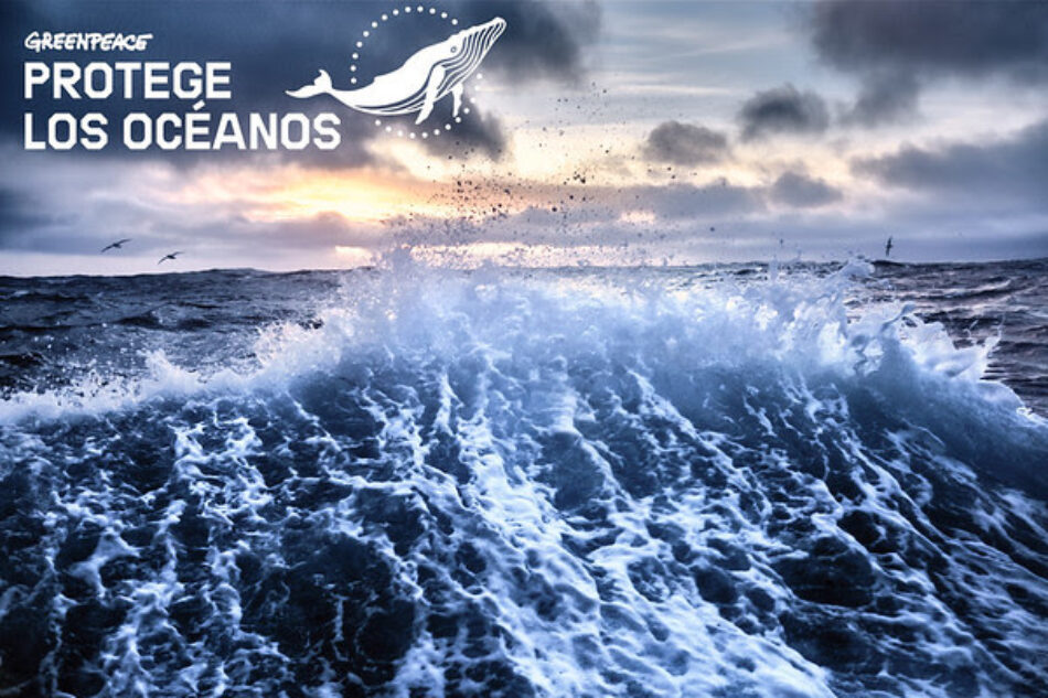 Greenpeace reunirá a más de 100 personalidades del mundo de la cultura en un evento para pedir la protección de los océanos