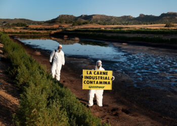 Activistas de Greenpeace entran en la macrogranja de porcino más contaminante de España para pedir el fin de la ganadería industrial