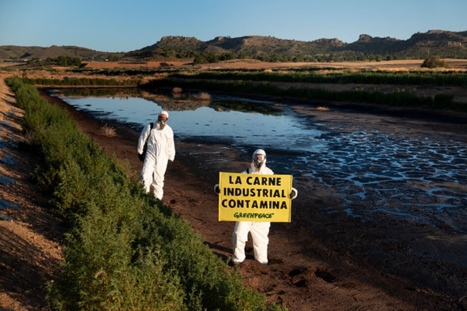 Activistas de Greenpeace entran en la macrogranja de porcino más contaminante de España para pedir el fin de la ganadería industrial