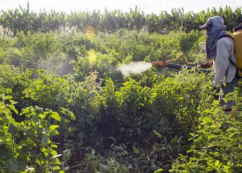 Brasil. El Gobierno aprueba el uso de 51 agrotóxicos y bate récord de liberación de pesticidas