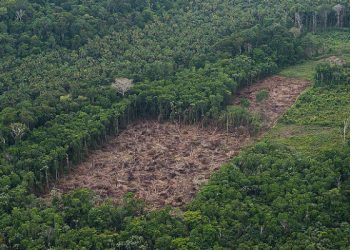 Brasil. Oposición critica privatización de parte de la distribuidora de Petrobras