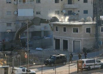 Estados Unidos bloquea la moción de la ONU que condena la demolición de hogares palestinos