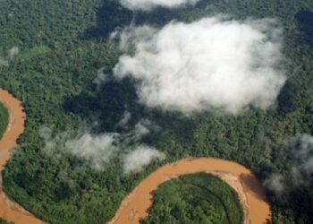 El acuerdo comercial entre la UE y Mercosur agravará la crisis climática y de biodiversidad