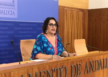 Podemos pide un nuevo periodo de diligencias y la participación de la UCO en el caso Fundación Guadalquivir