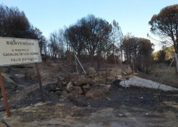 CCOO reivindica la unificación de los planes de extinción de incendios