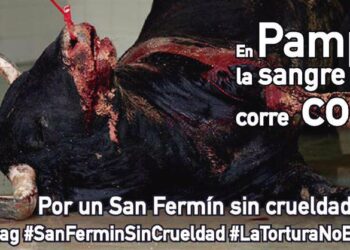 Con el slogan «En Pamplona la Sangre Corre Contigo» Animal Guardians y La Tortura No Es Cultura lanzan campaña sin precedentes en 11 países y en 5 idiomas