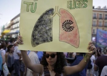 Ecologistas en Acción y Greenpeace presentan un recurso contra la moratoria de Madrid Central