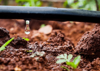 Organizaciones ambientales en defensa de los ríos y el uso sostenible del agua reclaman instalaciones de contadores para todos los consumos de agua