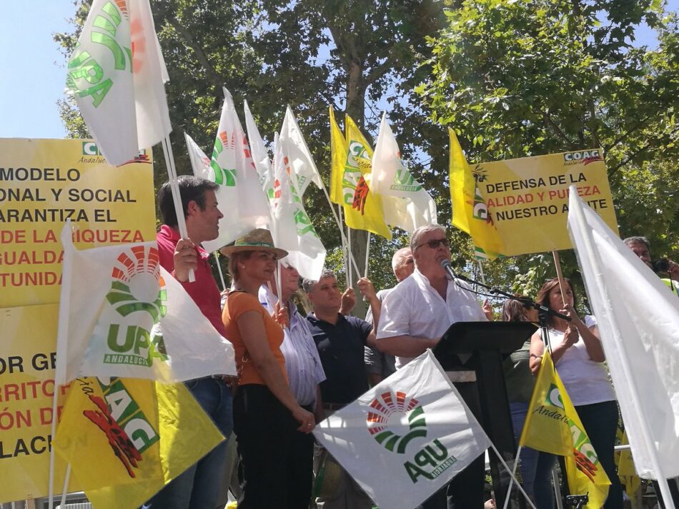 García Sempere reclama al Gobierno que detalle qué hará “para evitar que las compañías lácteas sancionadas por la CNMC repercutan las multas en los productores o en los consumidores”