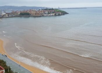 Ecoloxistes n’Aición d’Asturies se concentra por una solución equilibrada y duradera a los problemas de depuración de Xixón