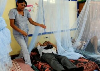 Epidemia de dengue en Honduras colapsa red hospitalaria