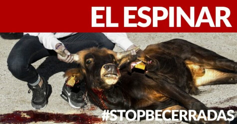 Representantes del Partido Animalista se reunirán este martes con el alcalde de El Espinar