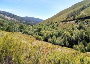 Denuncian que la nueva Ley de Patrimonio Natural desarrollada por el PP impedirá la creación de nuevos parques naturales en Galicia