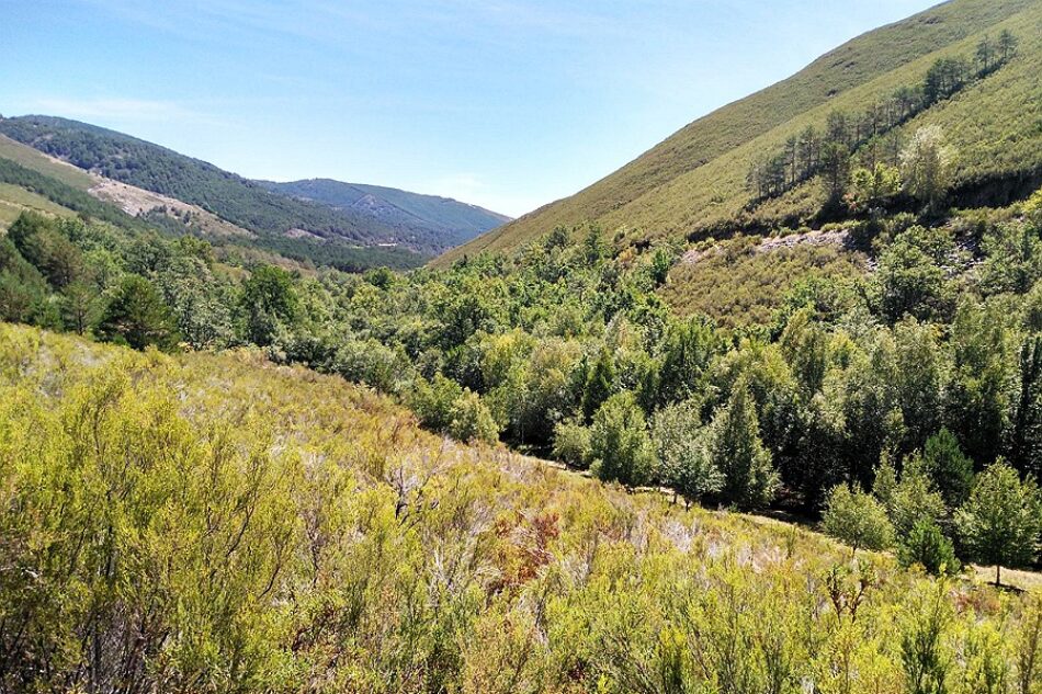 Denuncian que la nueva Ley de Patrimonio Natural desarrollada por el PP impedirá la creación de nuevos parques naturales en Galicia