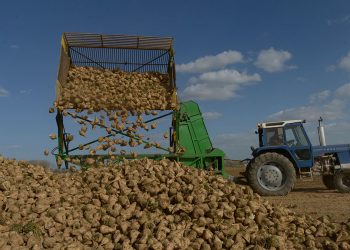 El PCE de León reclama medidas ante la sucesión de malas noticias en el ámbito agroganadero provincial