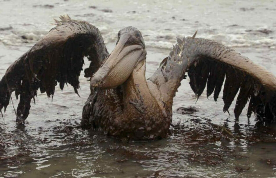 Brasil y Chile. La destrucción del medioambiente deja a la derecha de mármol