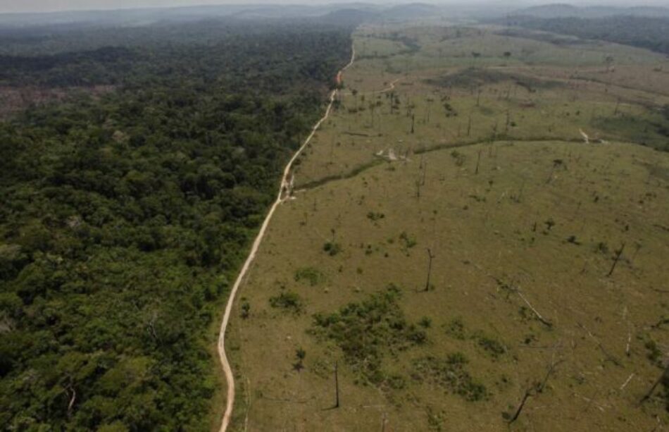 Brasil. Alemania cortará fondos para la preservación de la Amazonia