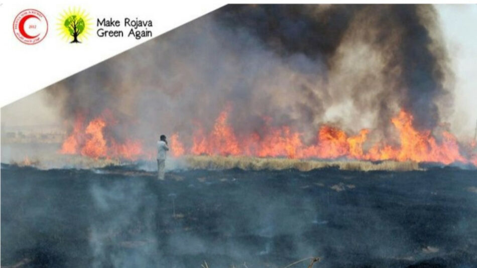 Campaña por las tierras quemadas de los campesinos kurdos: «Make Rojava Green Again»