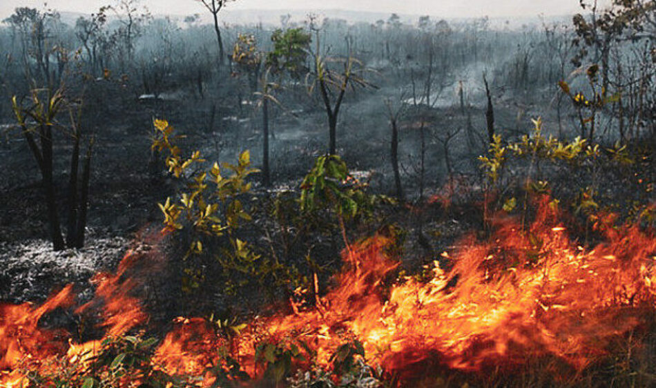 Brasil. Humo de incendios criminales en la Amazonía se propaga por todo el continente