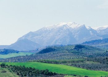 «Quedan 500 días para detener la pérdida de la biodiversidad»