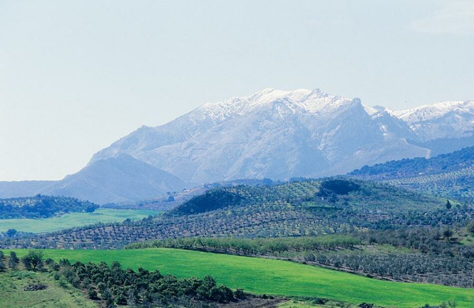 «Quedan 500 días para detener la pérdida de la biodiversidad»