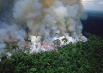 El humo por los incendios en la Amazonía llega a Argentina