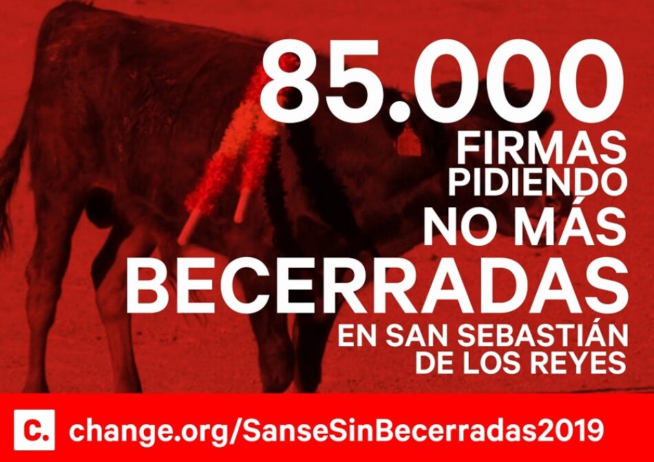 La organización «Animalistas Sanse» entrega recogida de firmas hoy al Ayuntamiento de San Sebastián de los Reyes