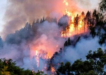 El fuego arde a placer en la isla canaria de Tamarant