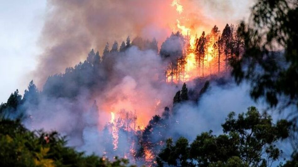 El fuego arde a placer en la isla canaria de Tamarant