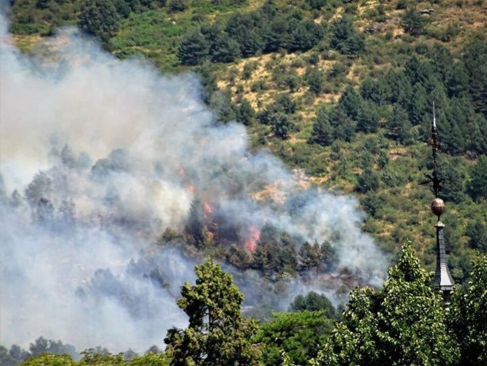 «Se necesita mayor reproche social a las conductas negligentes y dolosas que dan lugar a los incendios»