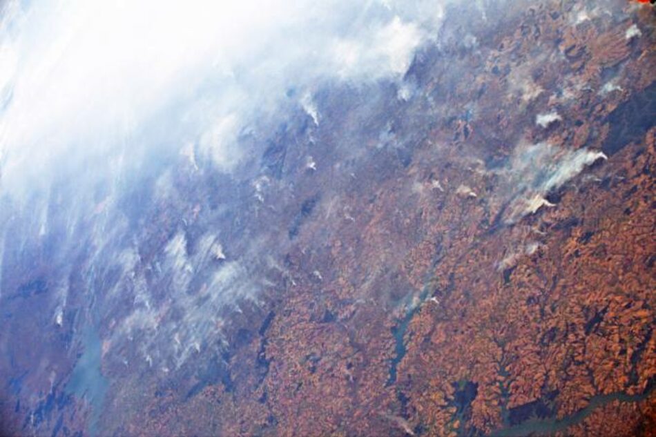 Desde Ecologistas Extremadura manifiestan su preocupación por la selva amazónica y el planeta