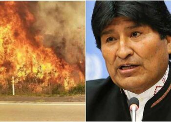 Verdad VS demagogia tras incendios forestales en Bolivia