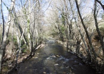 Organizaciones ecologistas reclaman poner fin a los vertidos de aguas fecales al río Guadalix
