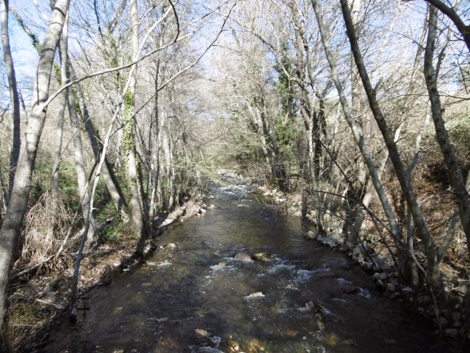 Organizaciones ecologistas reclaman poner fin a los vertidos de aguas fecales al río Guadalix