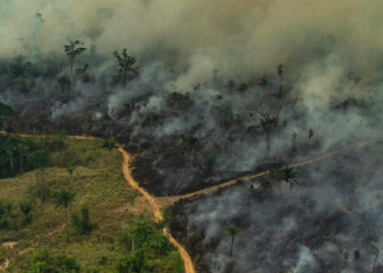 Greenpeace insta al G7 a «liderar una acción climática urgente»