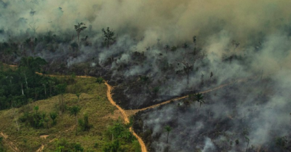 Greenpeace insta al G7 a «liderar una acción climática urgente»