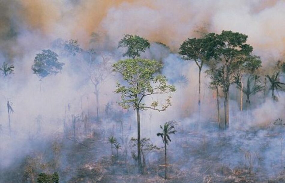 ¿Qué relación existe entre Bolsonaro y los incendios en la Amazonía?