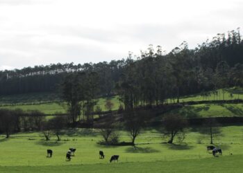 Global Nature aplaude que el informe del IPCC ponga el foco en la relación directa entre cambio climático y degradación del suelo