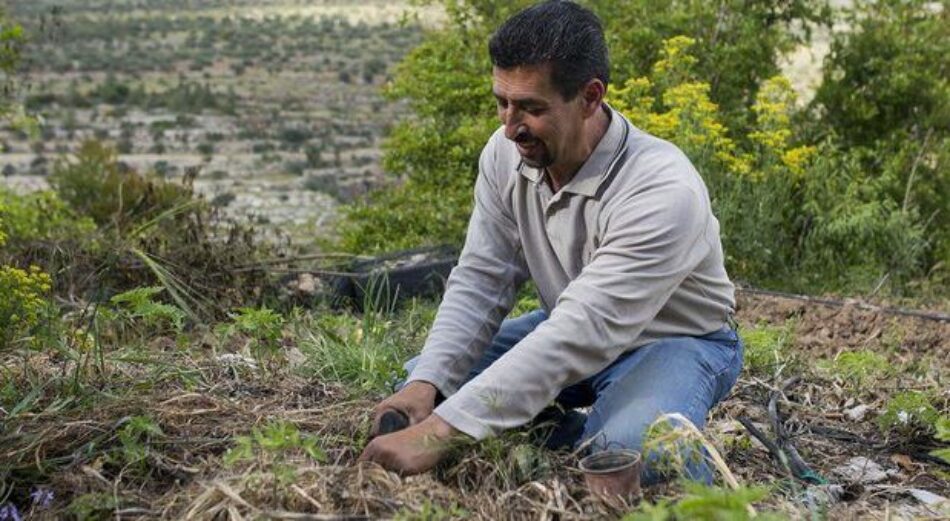 Palestina. La lucha por la soberanía alimentaria