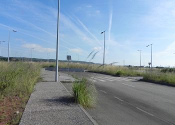 Ecologistas asturianos presentan alegaciones al proyecto de una central de biomasa en Gijón