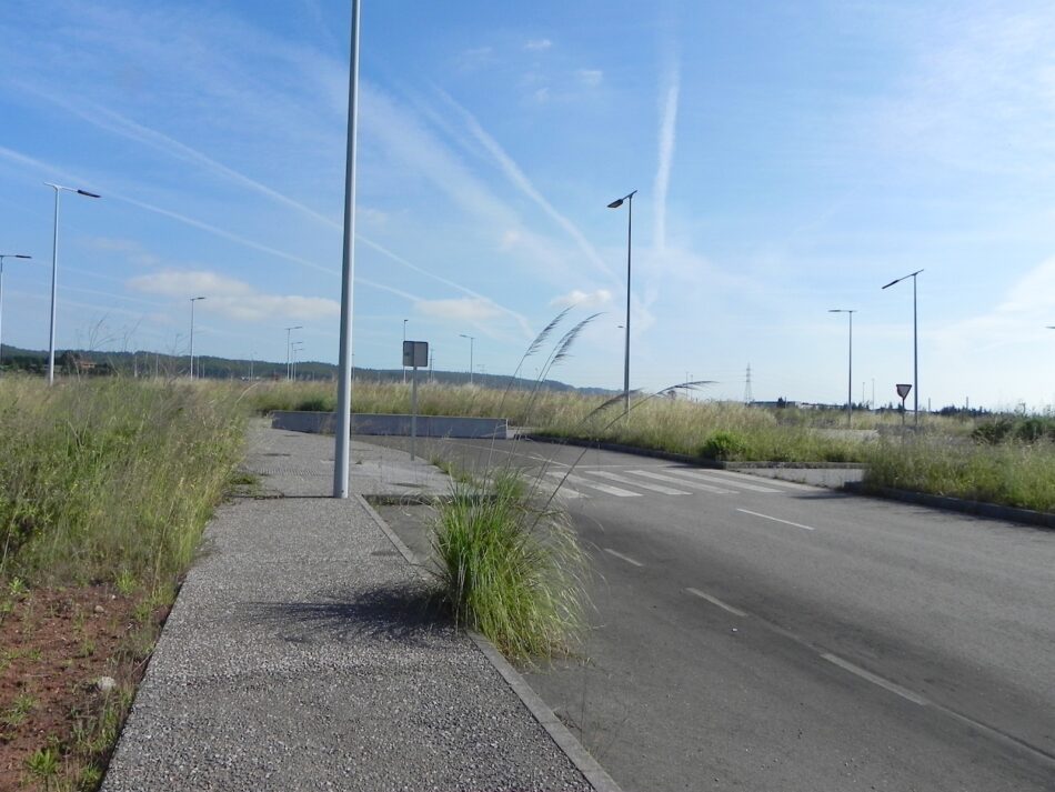 Ecologistas asturianos presentan alegaciones al proyecto de una central de biomasa en Gijón