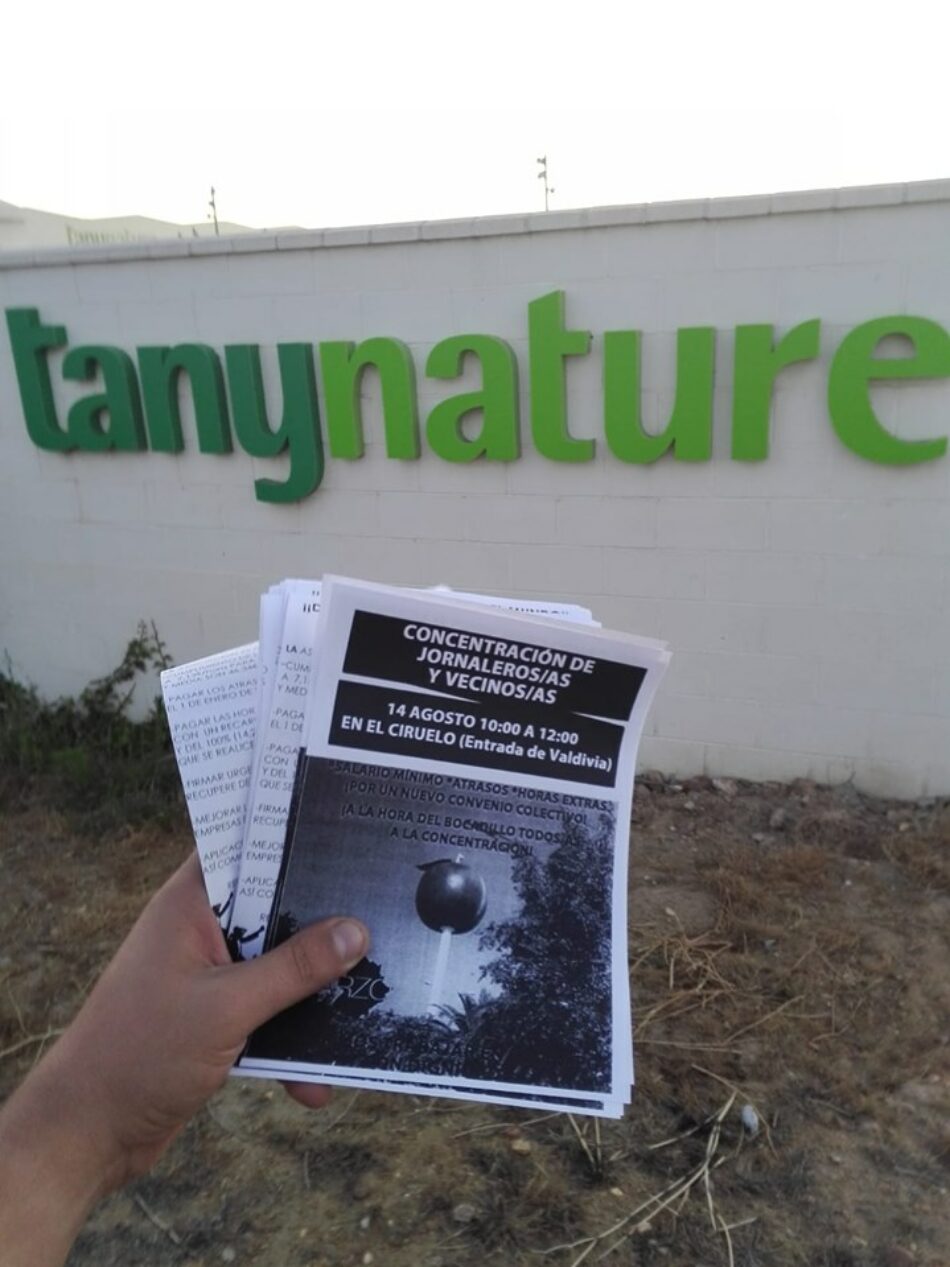 Fruta podrida: Atanasio Naranjo, el nuevo mito del millonario hecho a sí mismo