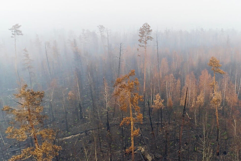 Los incendios en Siberia son una emergencia climática