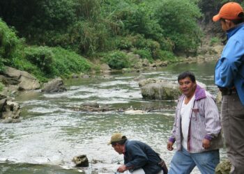 Se duplica la cifra de activistas ambientales asesinados en solo dos años, de los que el 40% son indígenas