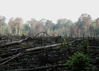 La plataforma Trabajador@s por el clima también anima a la participación en la Huelga Mundial por el Clima