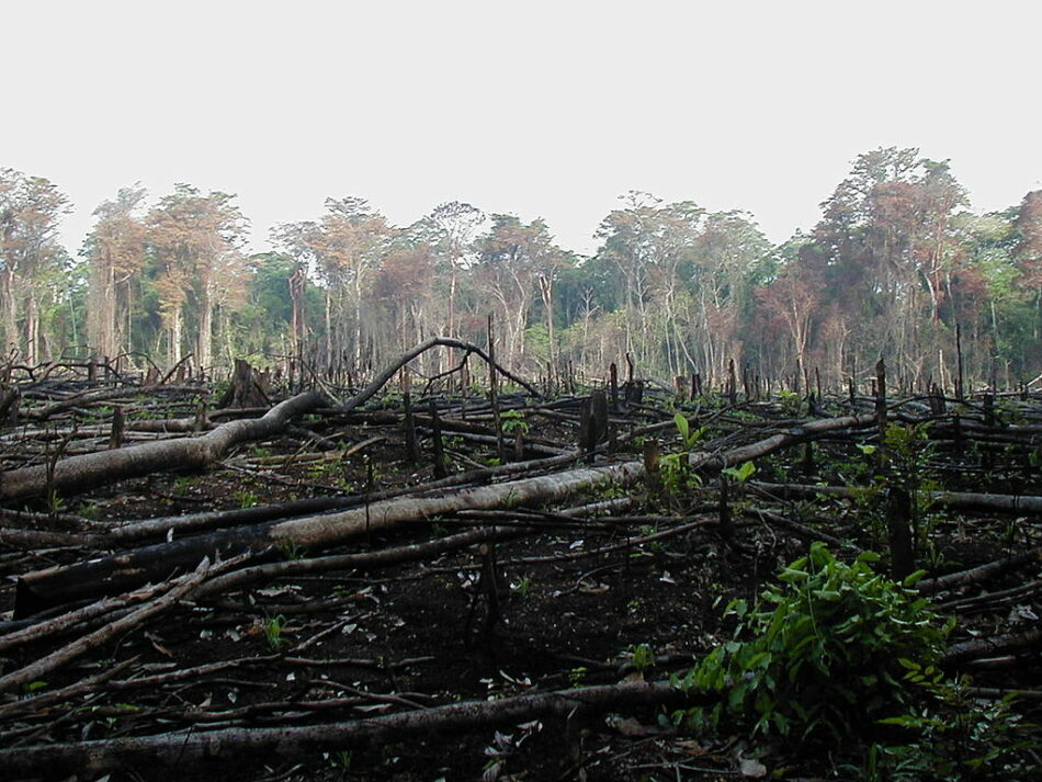 La plataforma Trabajador@s por el clima también anima a la participación en la Huelga Mundial por el Clima