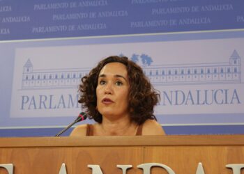 Adelante reúne mañana a 30 asociaciones memorialistas para «evaluar los incumplimientos de la Ley de Memoria por parte del Gobierno andaluz»