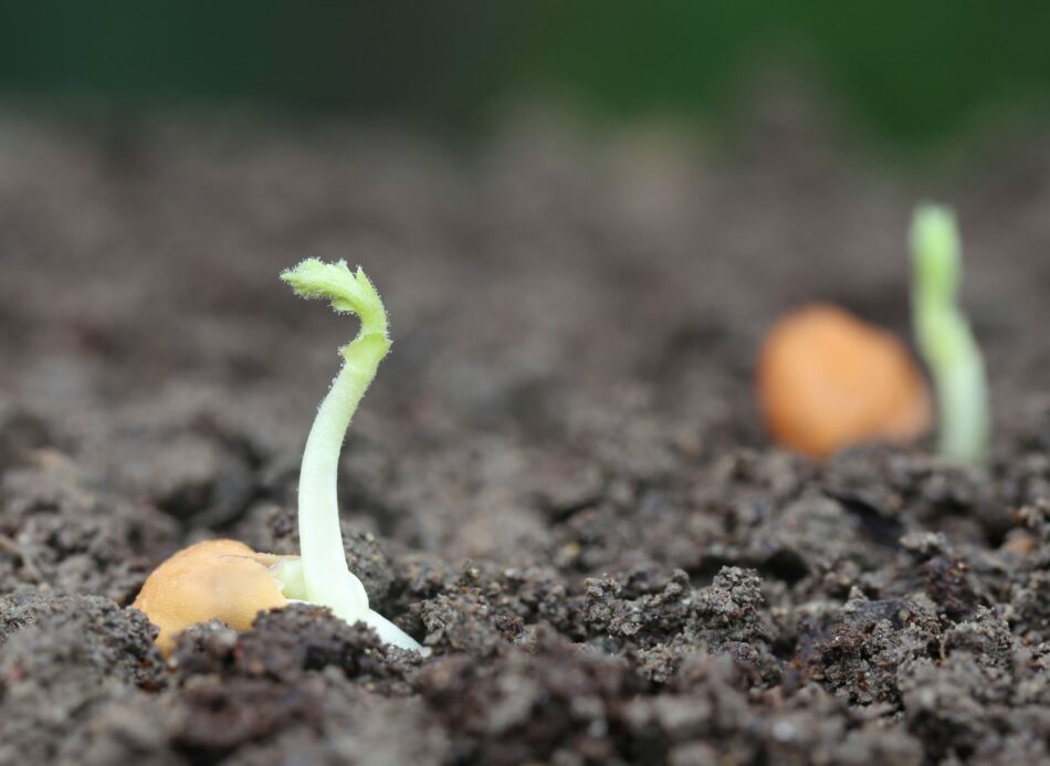 La Fundación Global Nature denuncia que el futuro de la agricultura pasa por la adaptación a retos como el cambio climático y a nuevos hábitos de consumo