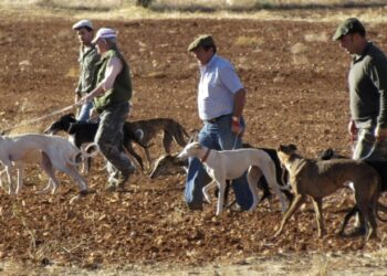 El TC admite a trámite el recurso de inconstitucionalidad presentado por el Defensor del Pueblo contra la Ley de Caza de Castilla y León